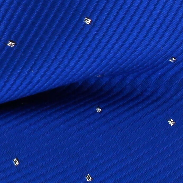 Pajarita Azul Puntos Brillantes