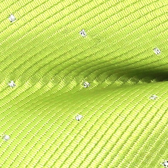 Pajarita Verde Puntos Brillantes