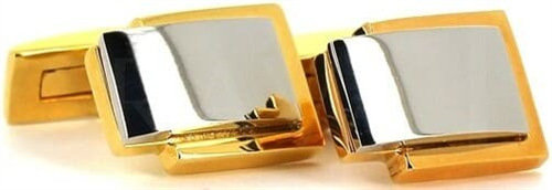 Gemelli d'oro e d'argento