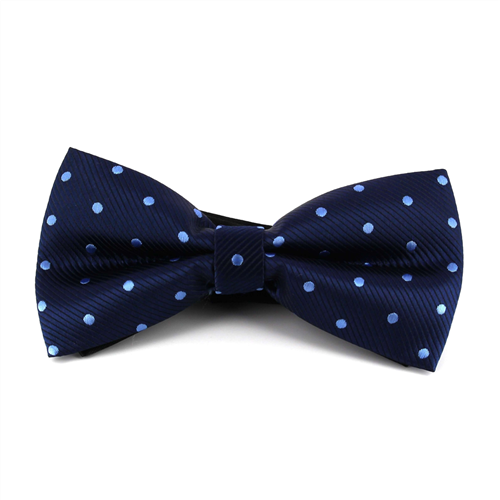 Papillon a pois blu celeste