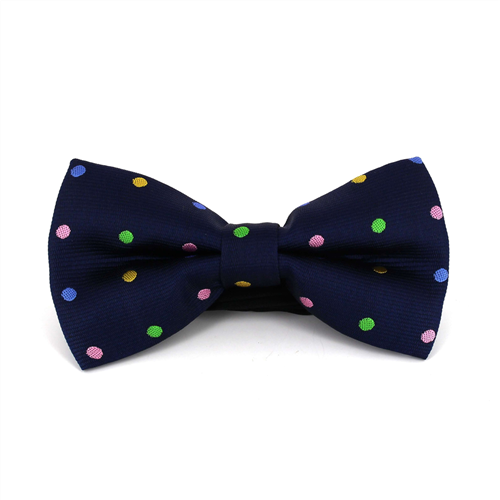 Papillon a pois blu multicolore