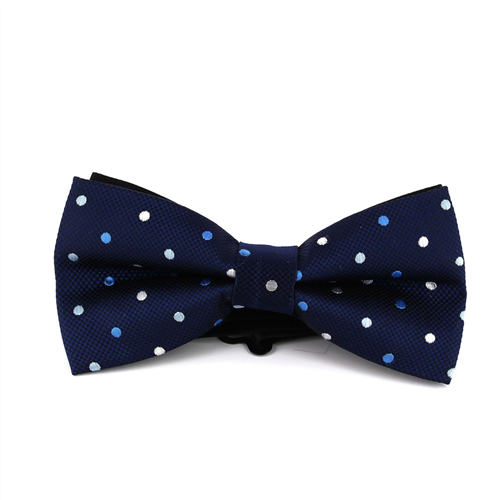 Papillon a pois blu multicolore