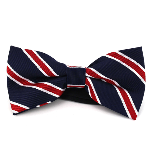 Papillon Blu Navy a Righe Rosse