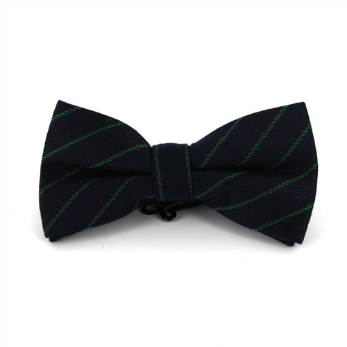 Papillon Blu Navy a Righe Verdi