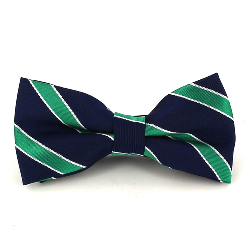 Papillon Blu Navy a Righe Verdi