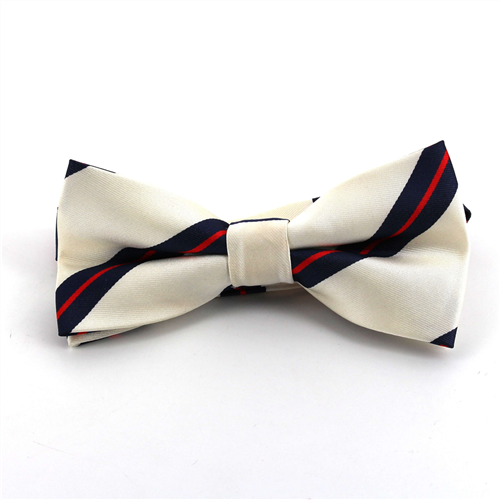 Papillon Bianco a Righe Blu e Rosso