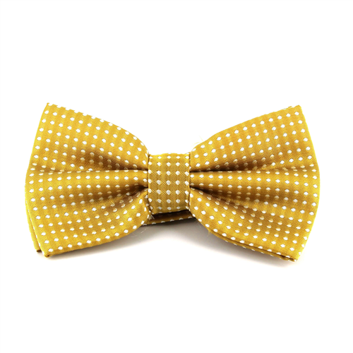Papillon Champagne a Pois Bianchi