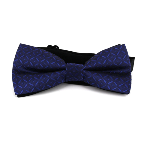 Papillon a Quadri Blu