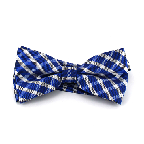 Papillon a Quadri Blu e Bianco