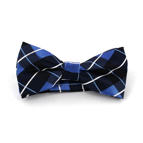 Papillon a Quadri Blu