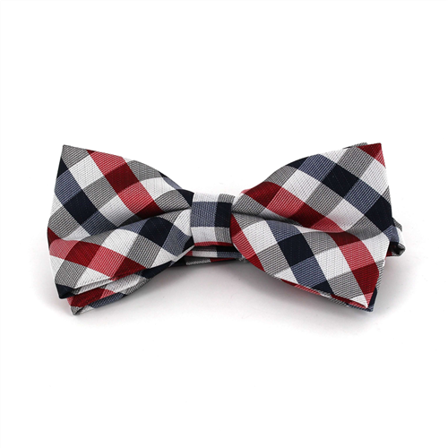 Papillon a Quadri Bianco, Blu e Rosso