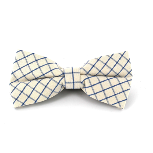 Papillon a Quadri Bianco e Blu