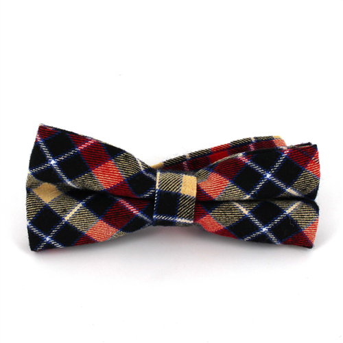 Papillon Tartan Multicolore