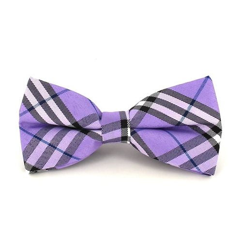 Papillon a Quadri Scozzesi Viola