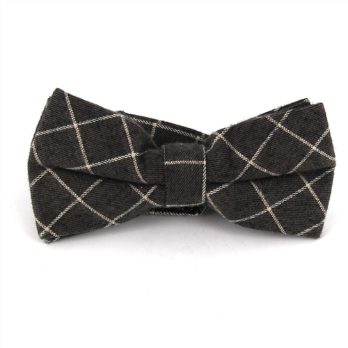 Papillon a Quadri Marrone e Bianco