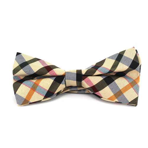 Papillon a Quadri Multicolore