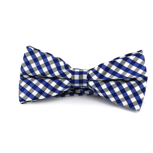 Papillon a quadri Vichy blu e bianco