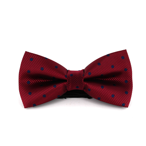 Papillon Bordeaux a Pois Blu