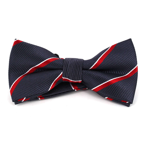 Papillon Grigio a Righe Rosse e Bianche