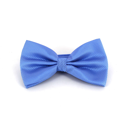 Papillon a quadretti blu chiaro