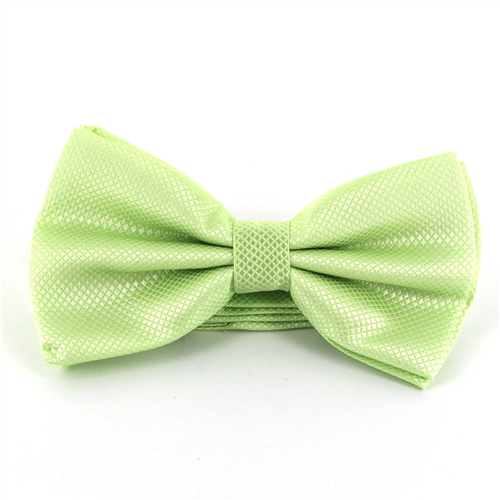 Papillon a Quadretti Verde Chiaro
