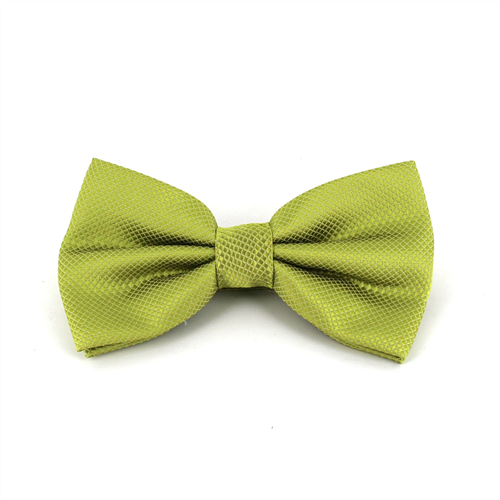 Papillon a Quadretti Verde Pistacchio