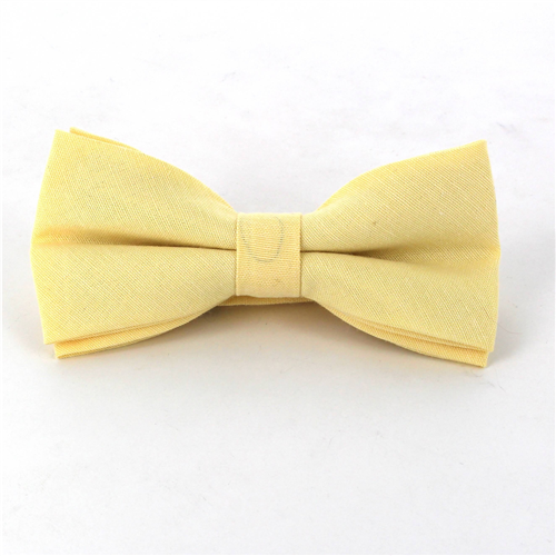 Papillon liscio giallo Oxford