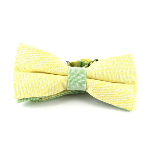 Papillon liscio Oxford giallo e verde