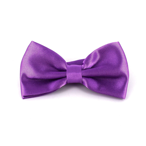 Papillon in raso liscio viola