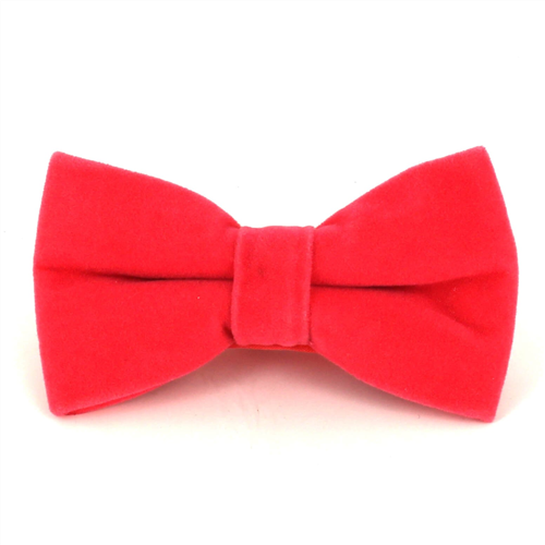 Papillon in Velluto Corallo