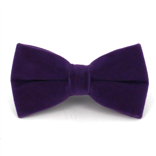 Papillon in Velluto Viola Liscio