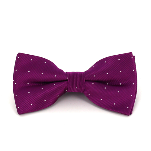 Papillon Viola a Pois Luminosi