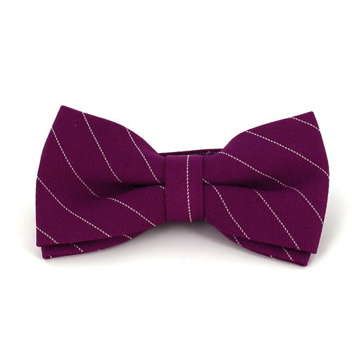 Papillon Viola a Righe Bianche