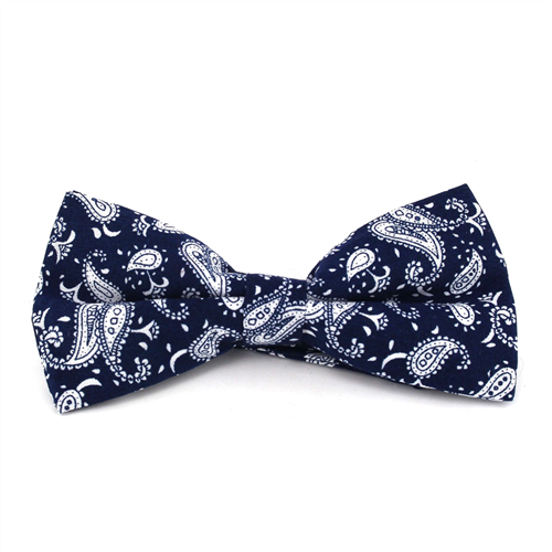 Papillon Paisley Blu e Bianco