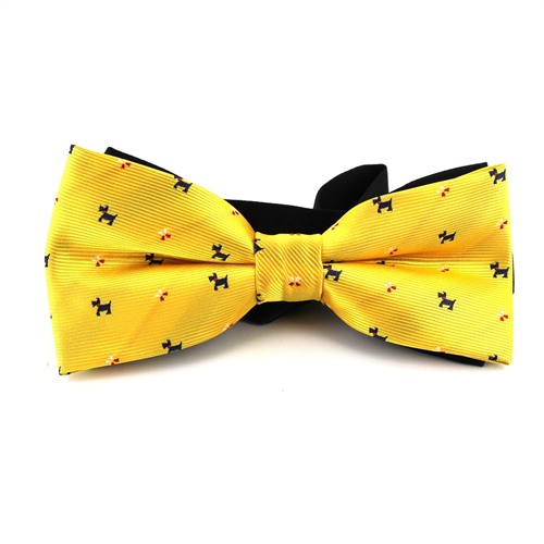 Papillon Cani Giallo