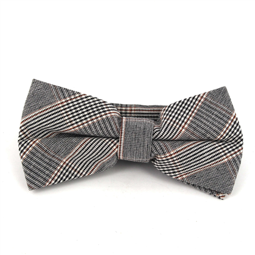 Papillon Principe di Galles Marrone