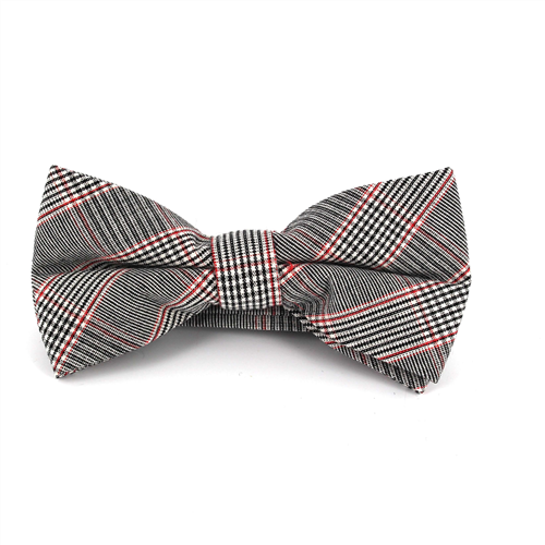 Papillon Principe di Galles Rosso