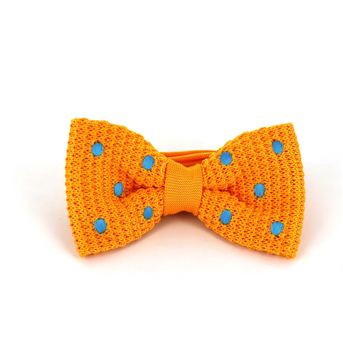 Papillon a pois gialli e celesti