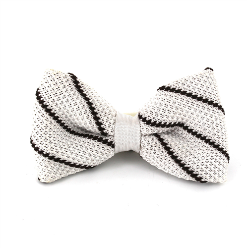 Papillon a pois bianco a righe marroni