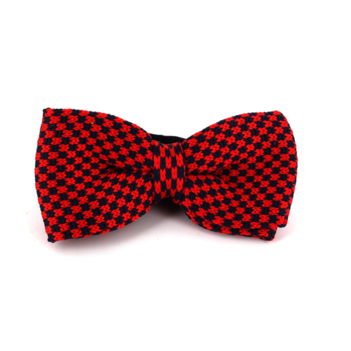 Papillon a pois rossi e blu