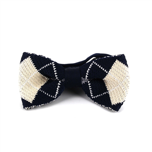 Papillon a quadretti blu e bianco