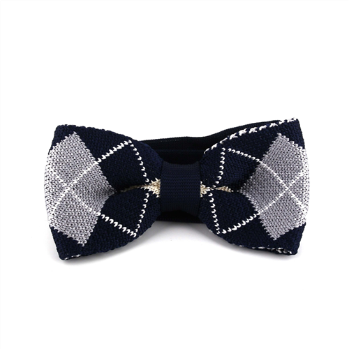 Papillon a Quadretti Blu e Grigio