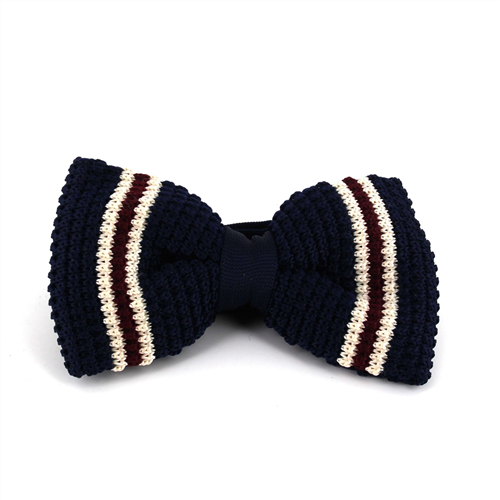 Papillon a righe a pois blu scuro