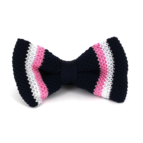 Papillon a righe a pois blu scuro