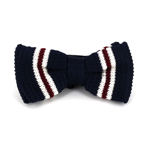 Papillon a righe a pois blu scuro