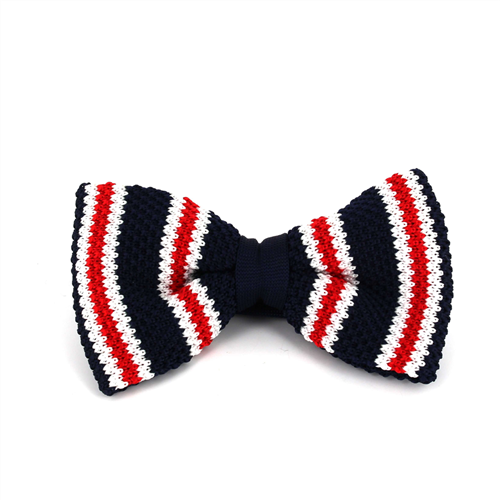 Papillon a righe a pois blu scuro