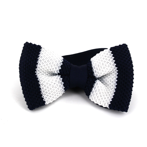 Papillon a righe blu e bianche