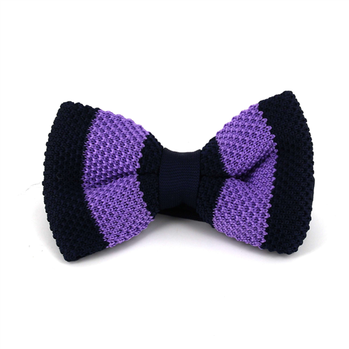 Papillon a righe azzurre e viola