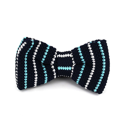 Papillon a righe sottili blu