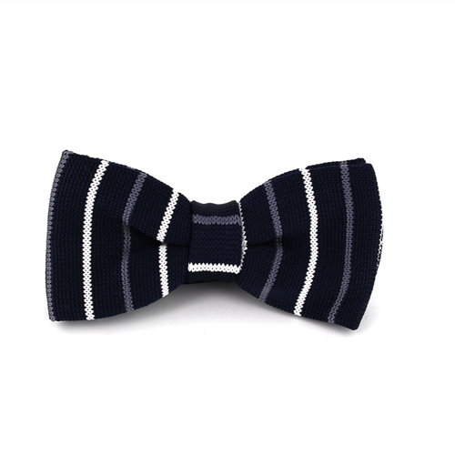 Papillon a righe sottili blu